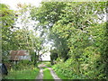 Lane leading to Bryn-yr-Eryr