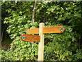 SE7471 : New signpost indicating rerouted bridleway by Phil Catterall