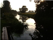 ST2825 : Bridgwater & Taunton Canal by Derek Harper