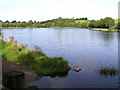 Carrick Lough