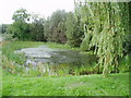 Sicklinghall village pond