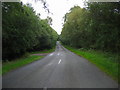 The Trench (road from Netherwitton to Longwitton)