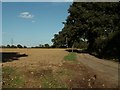 TL8631 : Field near Countess Cross, Essex by Robert Edwards