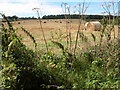 Straw bales near Upcote Farm