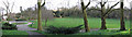 Maryon Park, Charlton (panorama)