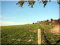 Footpath at Offley Bottom