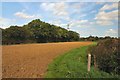 Footpath to Rougham Green