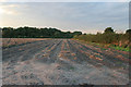 Partly ploughed farmland at Hunt