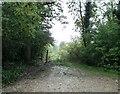 Footpath 1890 from Marlpost Road, Marlpost Wood