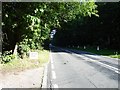 A252 through Longbeech Wood