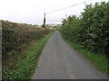 One Tidy Hedge