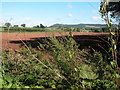 Ploughed field to the north of Rockfield