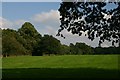 Field opposite Loke Farm