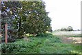 Footpath to Drinkstone Church