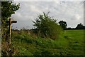 Footpath junction at Drinkstone Green