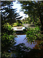 Pond near Stream Farm