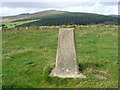 Mynydd Bach trig