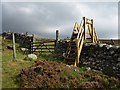 NO2065 : Stile on Cateran Trail by Lis Burke