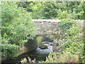 The Dinorwig Tramway Bridge at Clwt y Bont