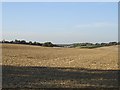 North from Workhouse Road, Throwley