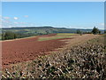 Field being ploughed near Steps Farm