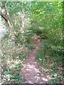 Footpath to Bwlch Coch