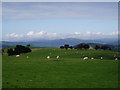 Hills above Carrog