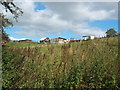 Allotments at Ferryhill Station