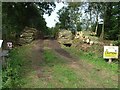 Timber stack in Slackbraes Wood