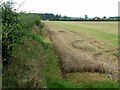 Field near Highmoorhead Farm