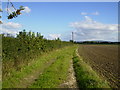 Farm track along field margin east of Wykeham