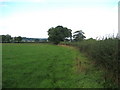 Fields in Langwith