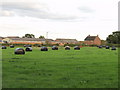 Farm buildings at The Croft