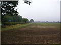 Farmland at Tockwith crossroads