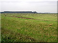 Farmland from near Mickley Dike