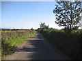 Country Lane near Snape