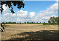 View towards Gonsley Green Farm