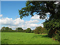 Pasture north of Den Lane