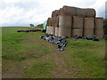 Hay bales at Great Burridge