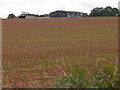 Farm buildings at Great Burridge