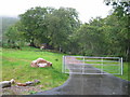 Entrance to Lairgmore Croft.