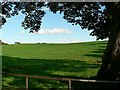 SJ7823 : Field on the east side of Pinfold Lane by Rich Tea