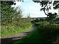 Back Road, Crackleybank