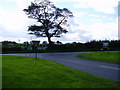 Tree on military road at junction with Matfen road