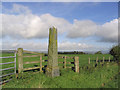 The Henlawshiel Obelisk