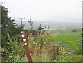 Looking to the northwest from the Speyside way  near Cairnty