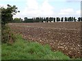 Ploughed field near Rushmere Farm