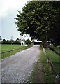 Mile End Recreational Ground, Colchester