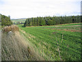 Farmland by the road to Crailinghall