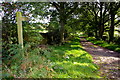 Bridleway Near Chambers Common